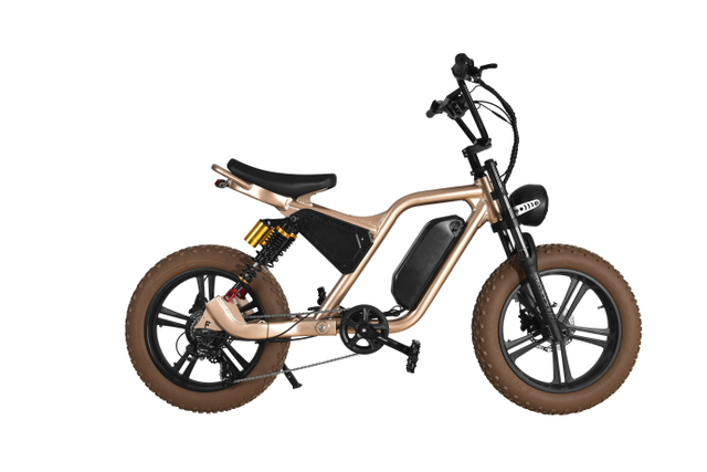 Fitness Customizable Aluminum Alloy Electric Mountain Bike