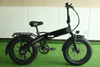 Powerful Ultra Light Unisex Electric Folding Bike