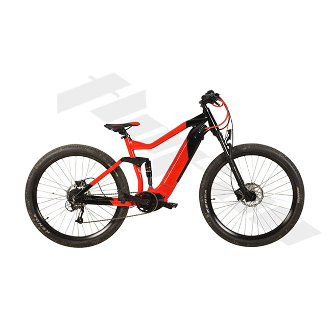 48V MID-Motor Integrated Battery Electric Mountain Bike