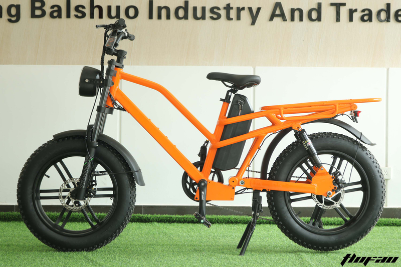 C6 electric bike 20*4'' Tire 750W Motor 48V 15.6Ah Battery 45 km/h Max Speed 50-60 km Range per power with rack