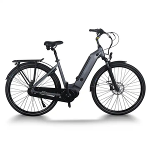 Commuting Efficient Aluminum Alloy Electric Mountain Bike