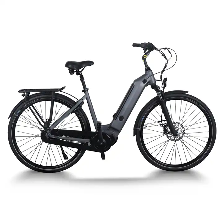 Commuting Efficient Aluminum Alloy Electric Mountain Bike