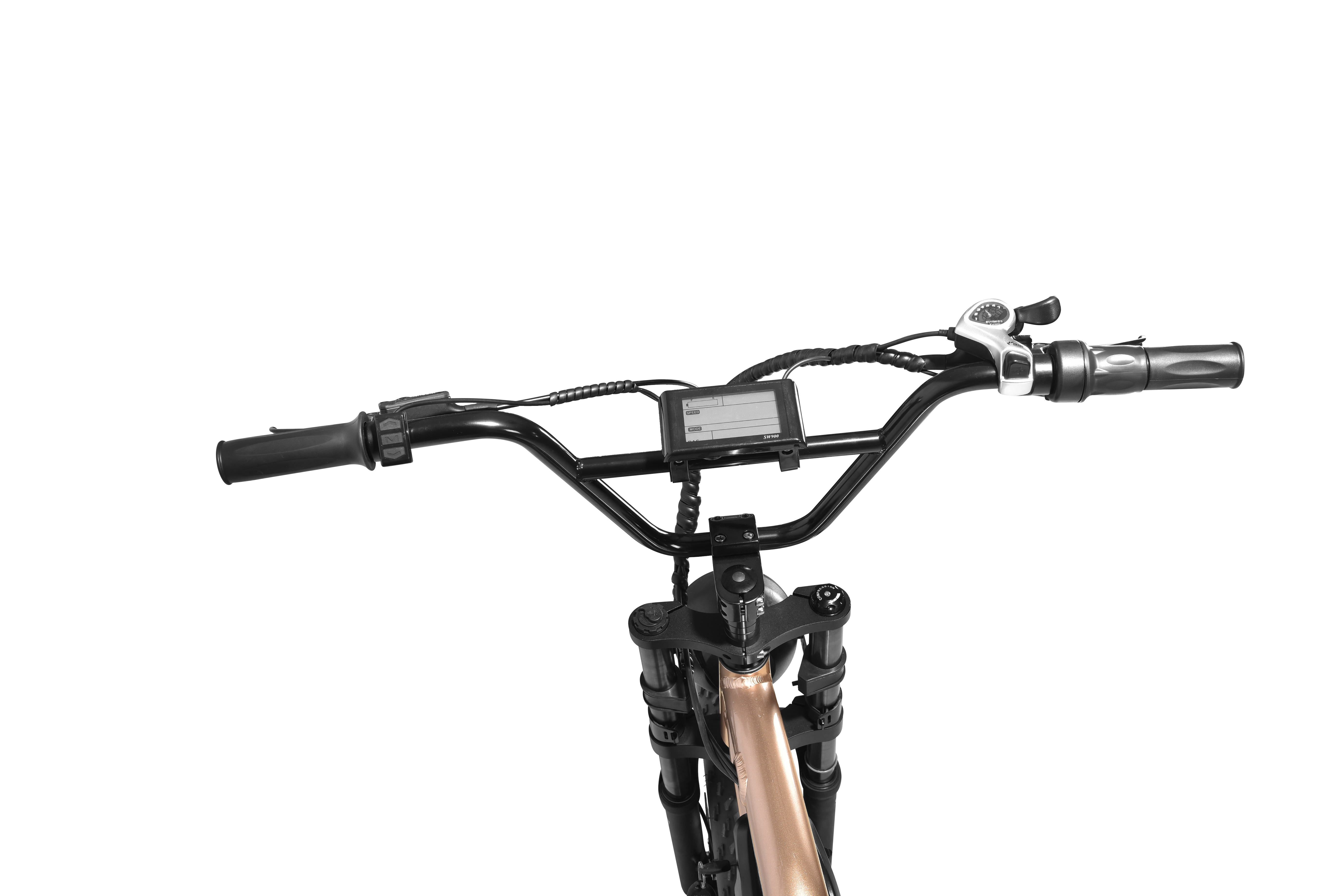 Fitness Customizable Aluminum Alloy Electric Mountain Bike