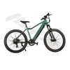 Off-road Customizable Hybrid Electric Mountain Bike