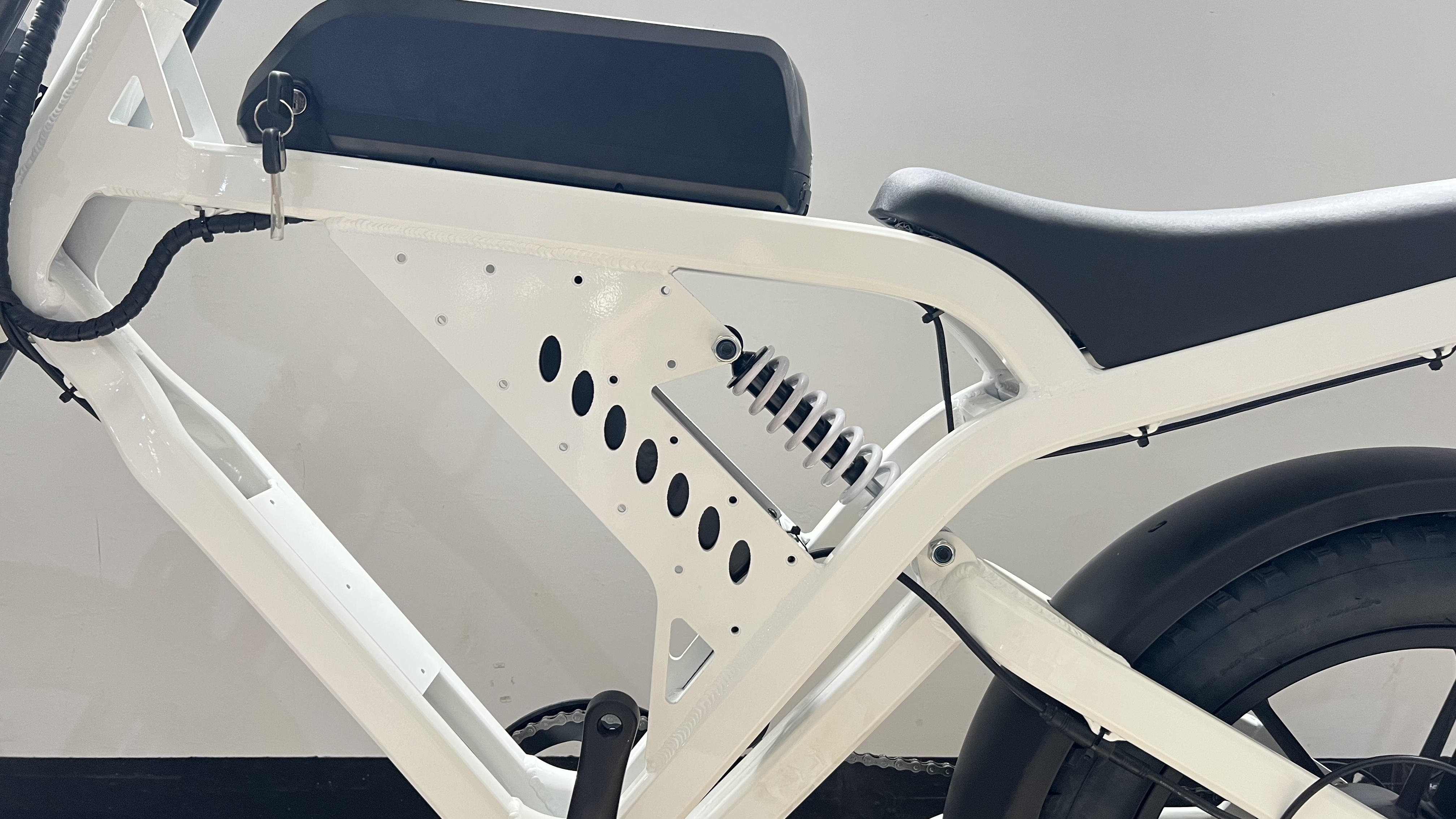 Specialized Wholesale Customizable Electric Fat Bike