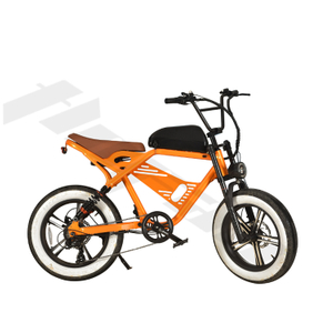 Urban Commuters Bike 500W Motor 48V Battery Spring Shock Absorption All-Terrain Aluminum Alloy E-Bicycle