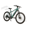 Powerful Integrated Battery Customizable Electric Mountain Bike