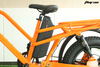 C6 electric bike 20*4'' Tire 750W Motor 48V 15.6Ah Battery 45 km/h Max Speed 50-60 km Range per power with rack